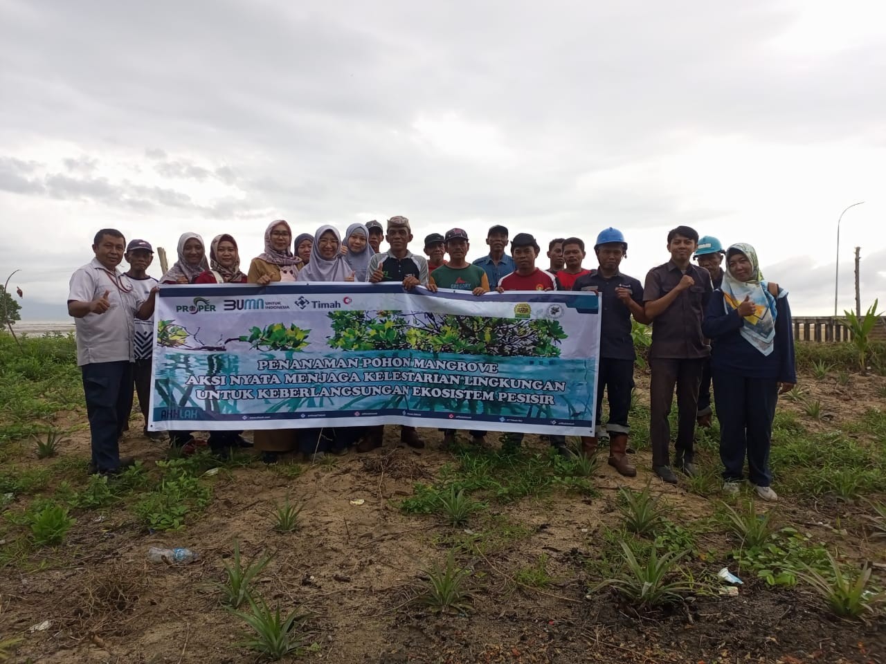 Gandeng Kelompok Masyarakat PT Timah Tbk Kembali Tanam Mangrove Di