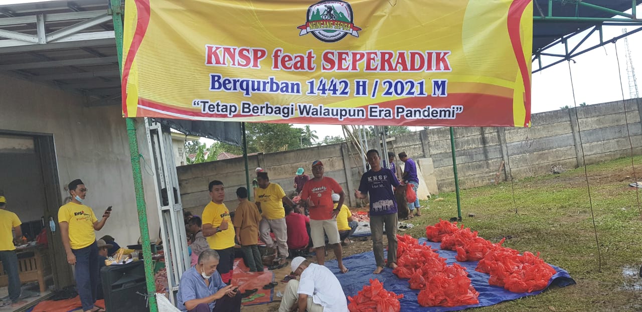 Tahun Ini KNSP Feat Seperadik Kurban 4 Ekor Sapi