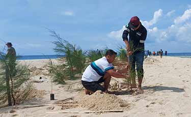 Restorasi Lingkungan, PT Timah Tanam Cemara Laut