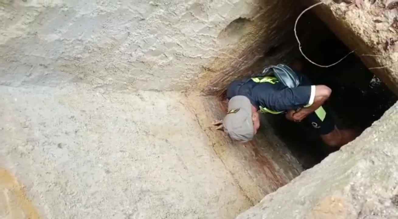 Ditemukan 10 Lubang di Tahura Bukit Menumbing, Dalamnya 10 Meter