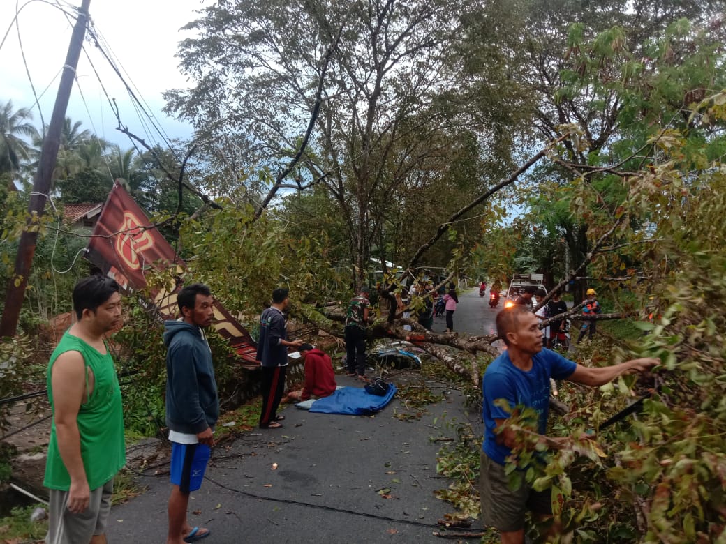 Tabrak Pohon Tumbang di Muntok, Pengendara Motor Patah Kaki