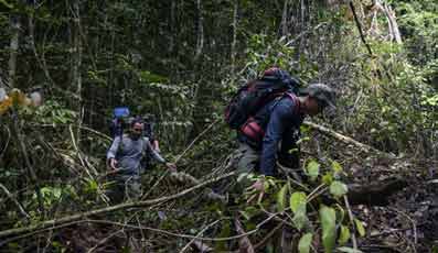 Dua Personil Polhut Awasi 133.600 Hektare Hutan di Basel