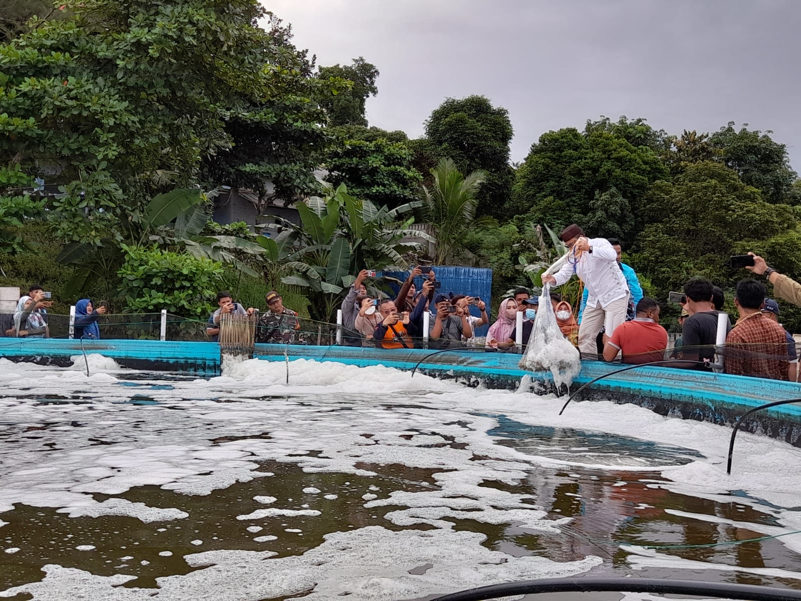 Pemkab Bateng Panen Kepiting Bakau dan Udang Vaname di Guntung