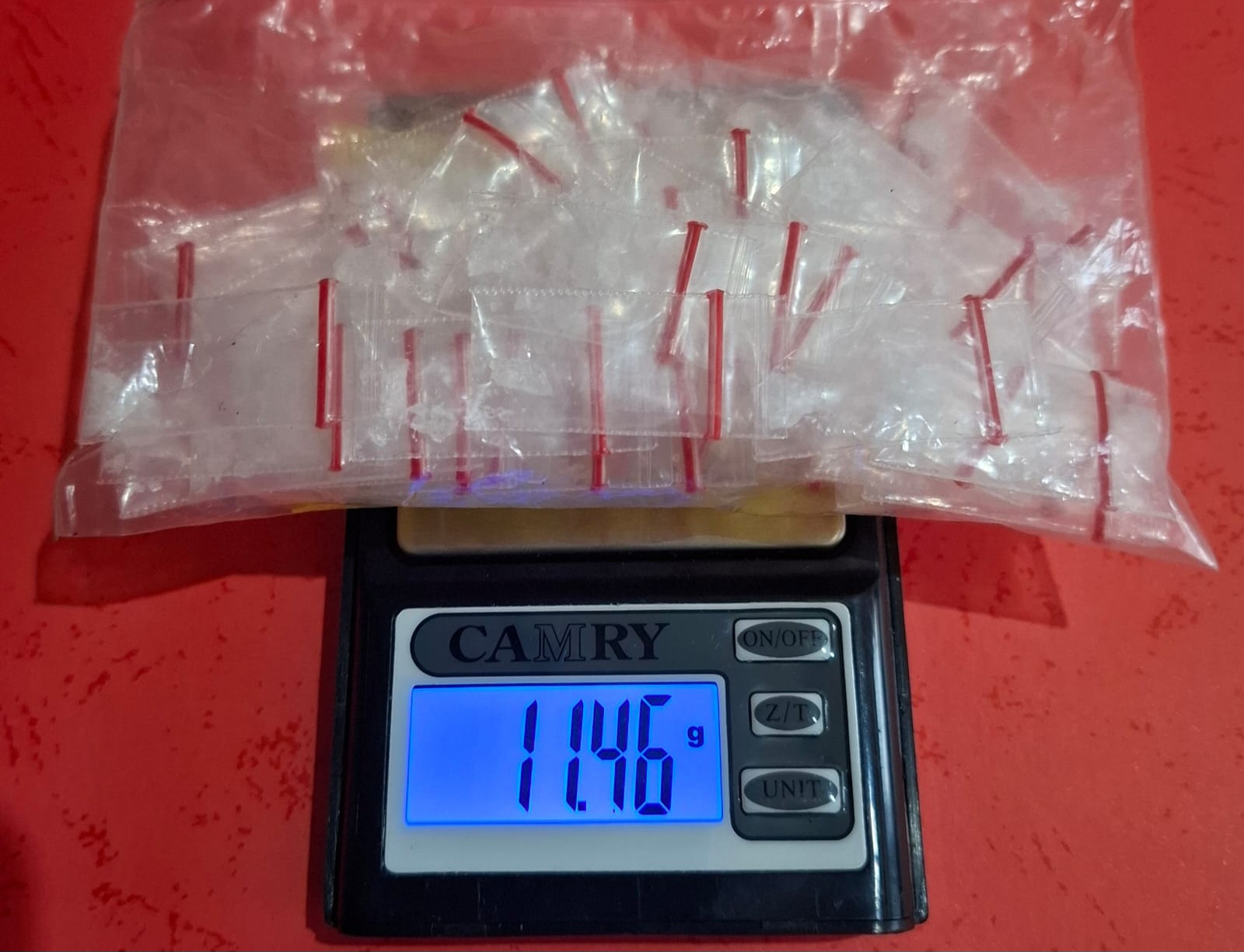 Ibu Rumah Tangga di Desa Rajik Ketahuan Simpan 67 Paket Sabu, Berakhir Begini 