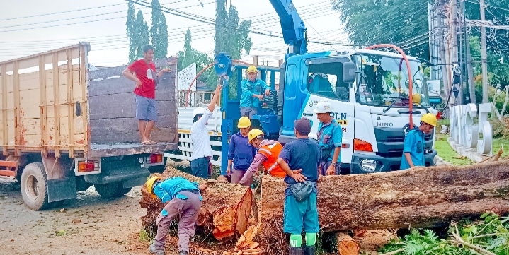 PLN Kolaborasi dengan Pemkot Pangkalpinang Gelar Kegiatan Pangkas Pohon Bersama