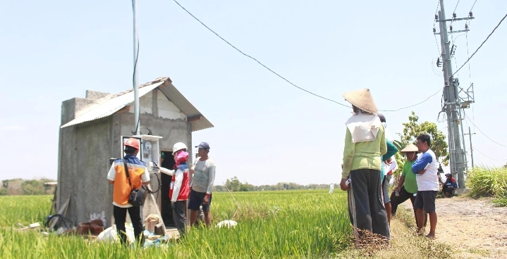 Dukung Tranformasi Pertanian Modern, Electrifying Agriculture PLN Raih 53.539 Pelanggan Baru di Tahun 2024