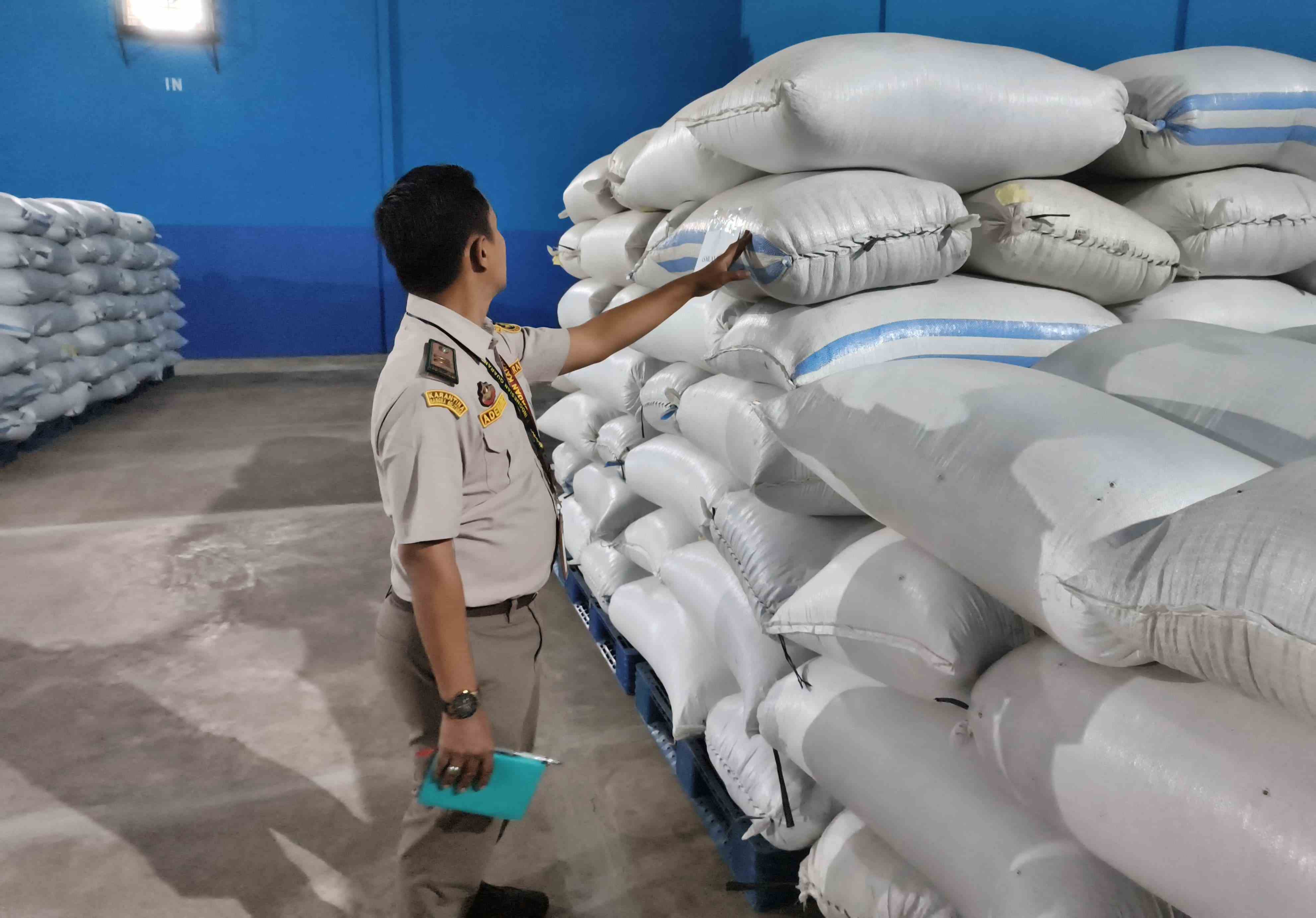 Cara Balai Karantina Perkuat Hilirisasi Lada Putih untuk Pasar Ekspor