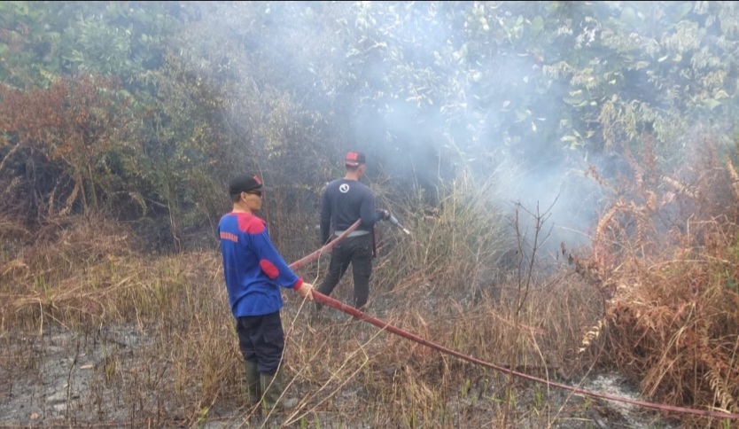 Kebakaran Lahan Dekat Batu Bedaun, Penyebab Tak Diketahui 