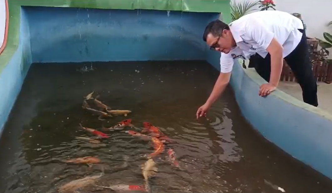 Lapas Pangkalpinang Inisiasi Program Pemijahan Ikan Koi