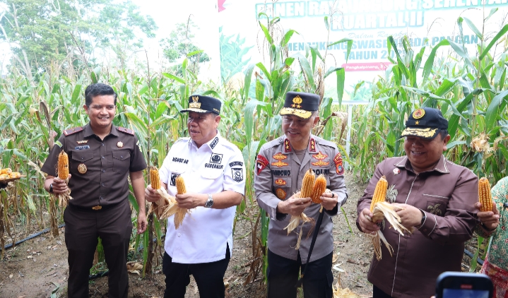 Polda Babel Panen Raya Jagung Di Kebun Ketahanan Pangan, Hasilkan 11 Ton Lebih Jagung Hibrida