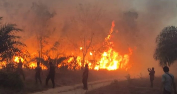 BPBD Bangka Barat Larang Warga Buka Lahan Dengan Cara Dibakar