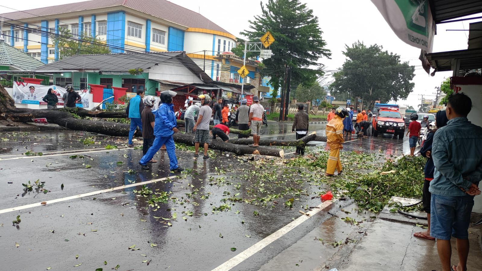 Pastikan Penanganan Pohon di Pangkalpinang, Pj Wako Budi: Keselamatan Warga Prioritas Kami