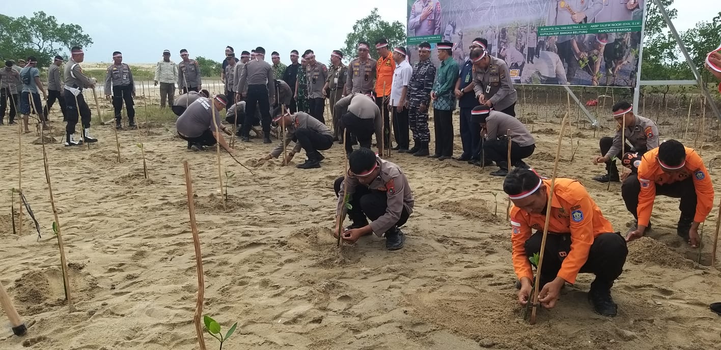 Penghijauan Serentak, Polres Bangka Tanam 1.500 Mangrove di Pulau Tengkorak