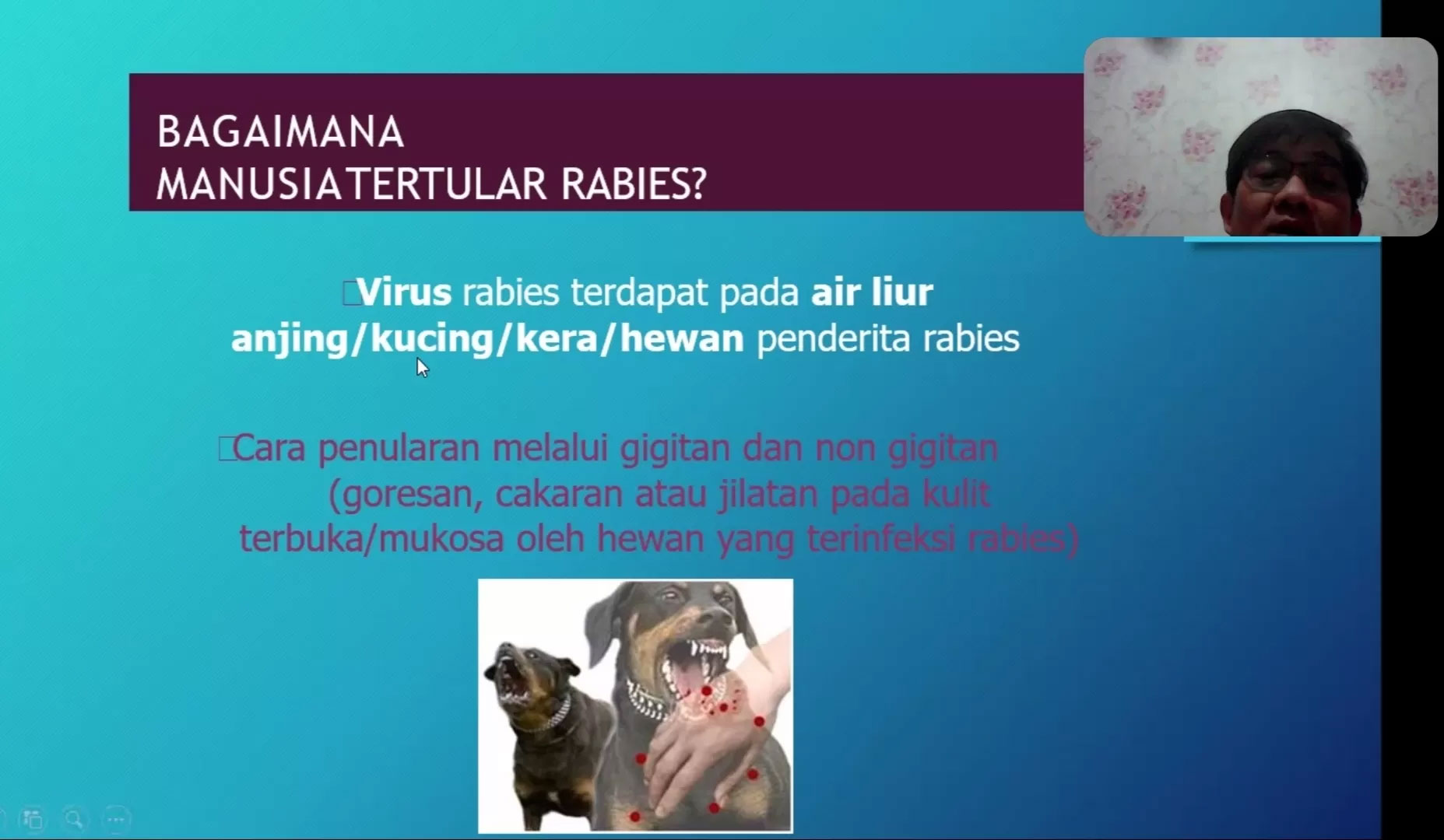 Banyaknya Populasi Anjing dan Kucing, Bateng Punya Resiko Tinggi Penularan Rabies