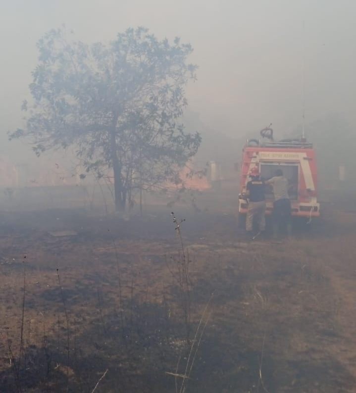 Giliran Hutan Belakang Kantor DPRD Basel Terbakar, Rumdin Kosong Ikut Hangus