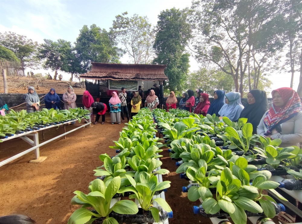 PT Timah Lakukan Beragam Insiatif Program untuk Mendukung Ketahanan dan Pengembangan Pertanian 