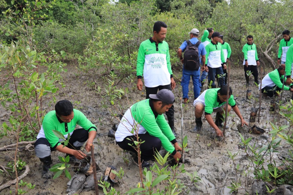 Jaga Ekosistem Pesisir dan Cegah Abrasi, PT Timah Tbk Tanam 12.000 Mangrove di Pesisir Pantai di Kundur
