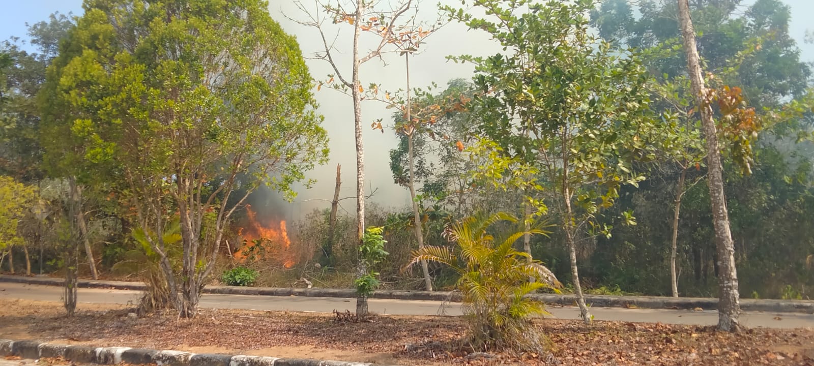 Jago Merah Membara di Jalan Perkantoran Pemkab Basel 