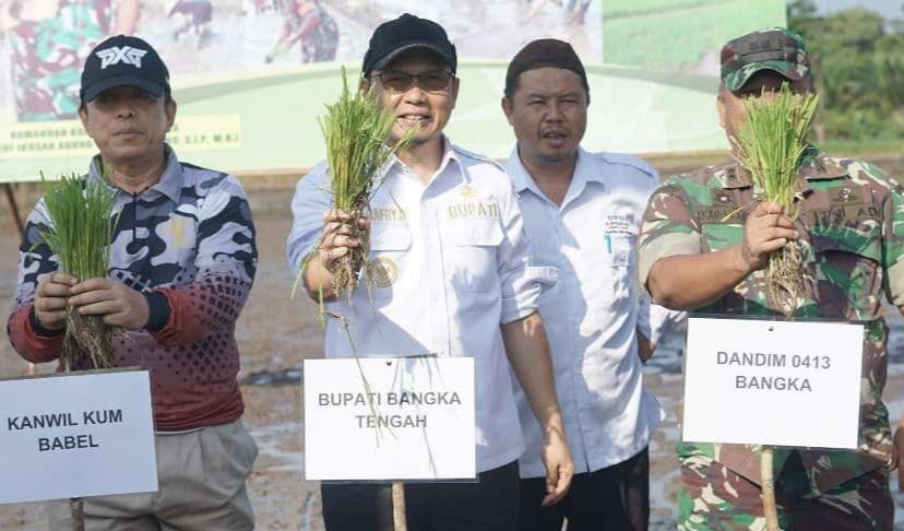 Dukung Ketahanan Pangan, Bupati Algafry Tanam Padi Bareng Forkopimda di Namang