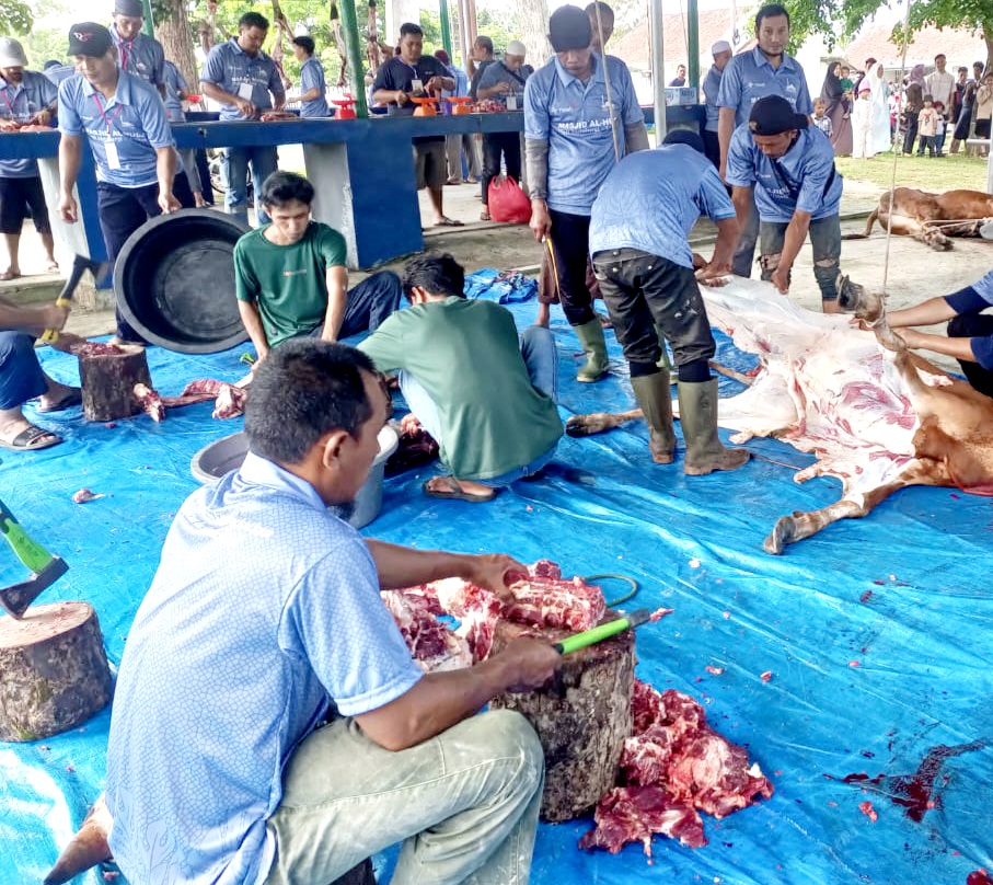 Masjid Al Huda Komplek Metalurgi PT Timah Tbk Sembelih 8 Ekor Sapi