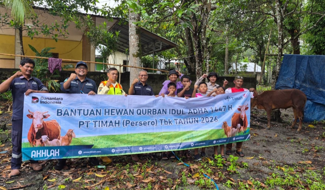 Hadir Lebih Dekat dengan Masyarakat, PT Timah Bagikan Puluhan Sapi Kurban di Pulau Belitung