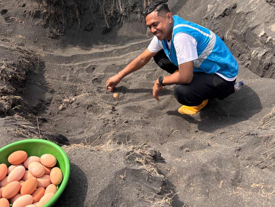 Dari Pesisir Tobelo, PLN Menanam Harapan untuk Generasi Mendatang
