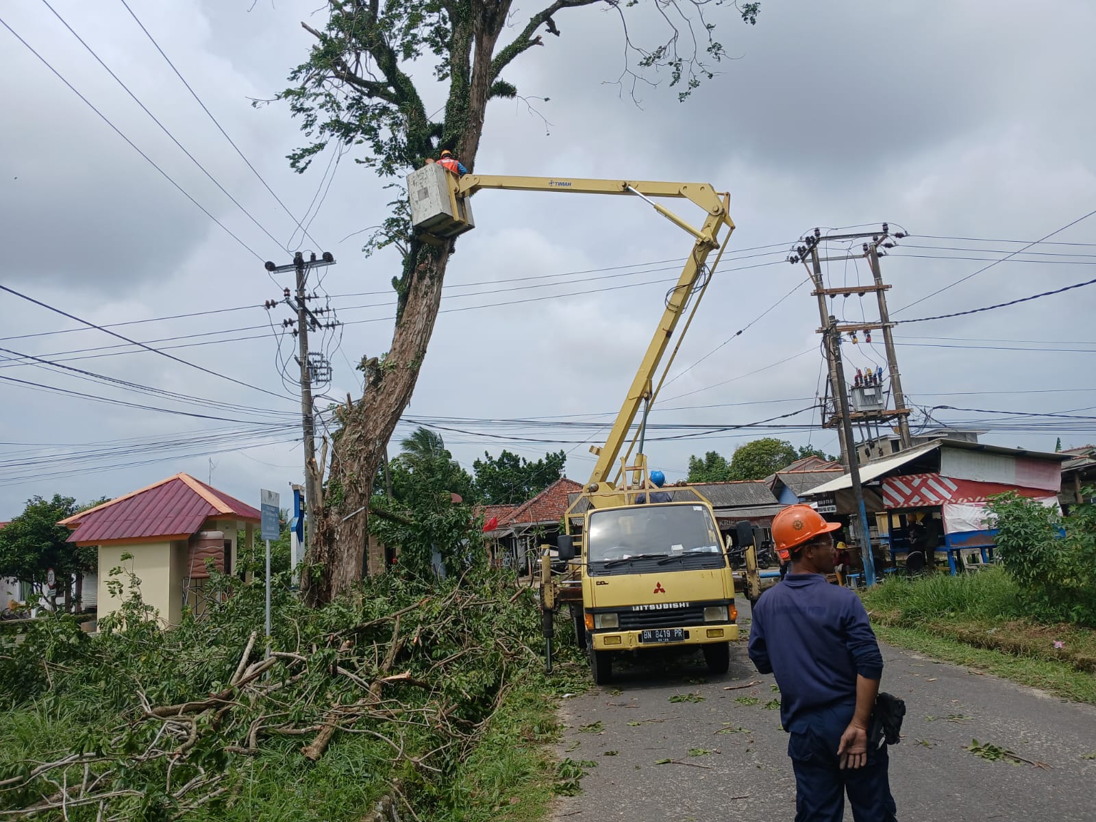 Cegah Kecelakaan, PT Timah dan PLN Lakukan Penebangan Pohon Berisiko di Kawasan Mentok 