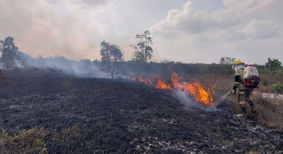 Karhutla Beltim Capai 149 Kasus, 284 Hektare Terbakar hingga 14 Agustus 2026