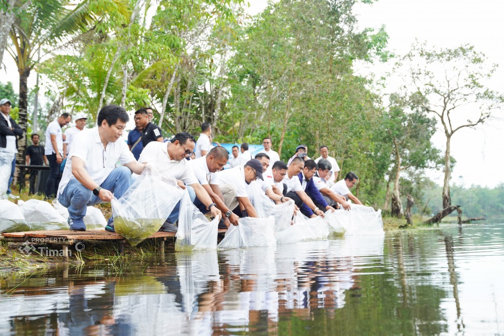 PT Timah Tbk Tebar Belasan Ribu Bibit Ikan di Kolong Bekas Tambang