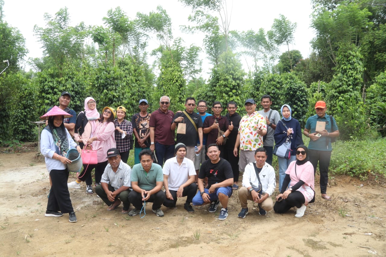 Produksi Lada di Belitung Semakin Pesat, Petani Sasar Peluang Ekspor