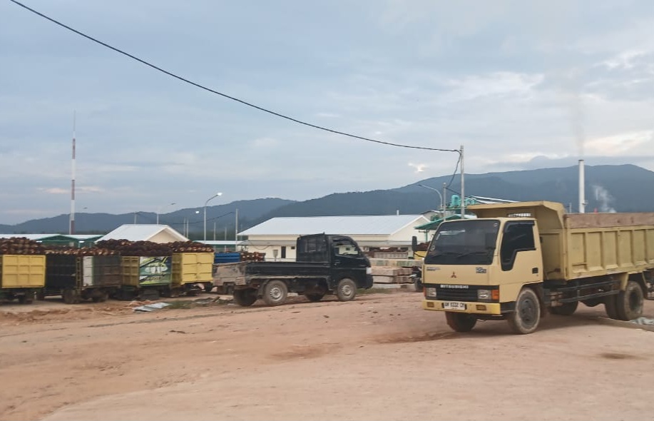 TBS Warga Perlang Antri Lama Bahkan Menginap, Kades Tagih Komitmen Pabrik CPO PT Perlang Sawitindo