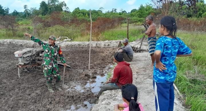 Dukung Ketahanan Pangan, Babinsa Turun Ikut Menanam Padi di Penutuk 