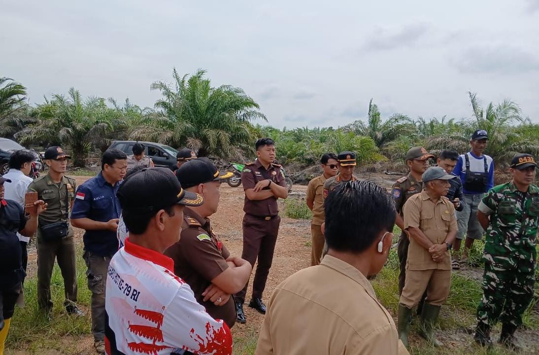 Timgab Turun ke Serdang, Sawit yang Ditanam di Sawah Langsung Dicabut 