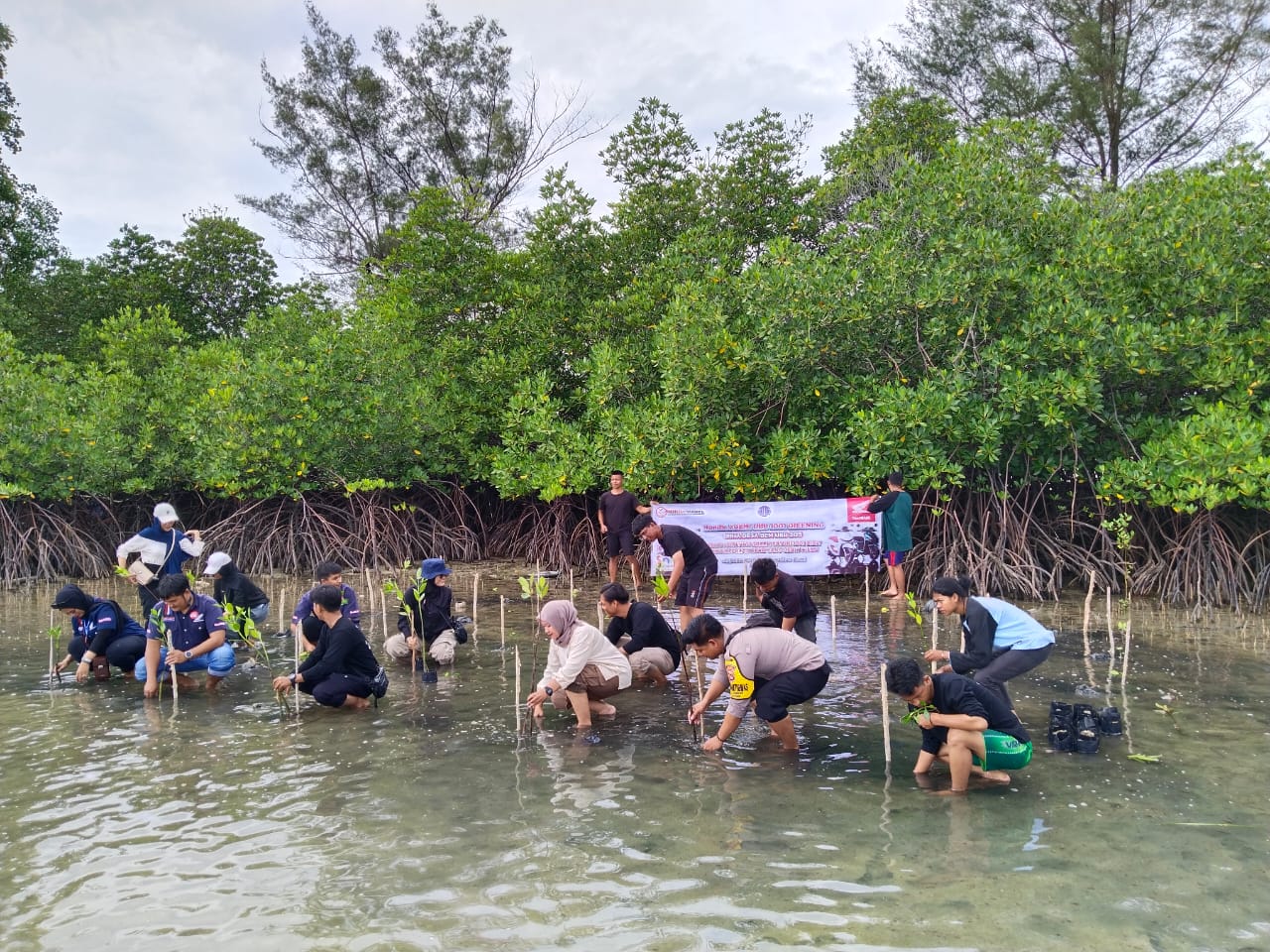 Kapolsek Apresiasi Honda Babel dan UBB Tanam 1001 Bibit di Pesisir Lepar