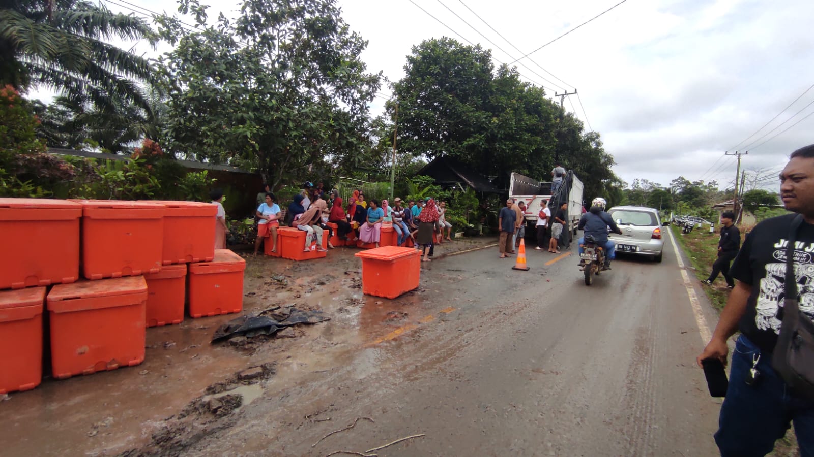 Truk Terguling di Air Belo, 5 Ton Udang Berhamburan di Jalan