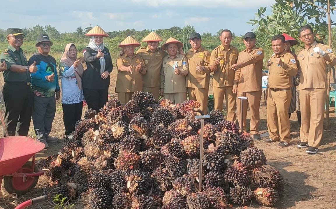 Bantuan Sawit Pemkab Basel, Desa Nyelanding Kini Panen Bersama
