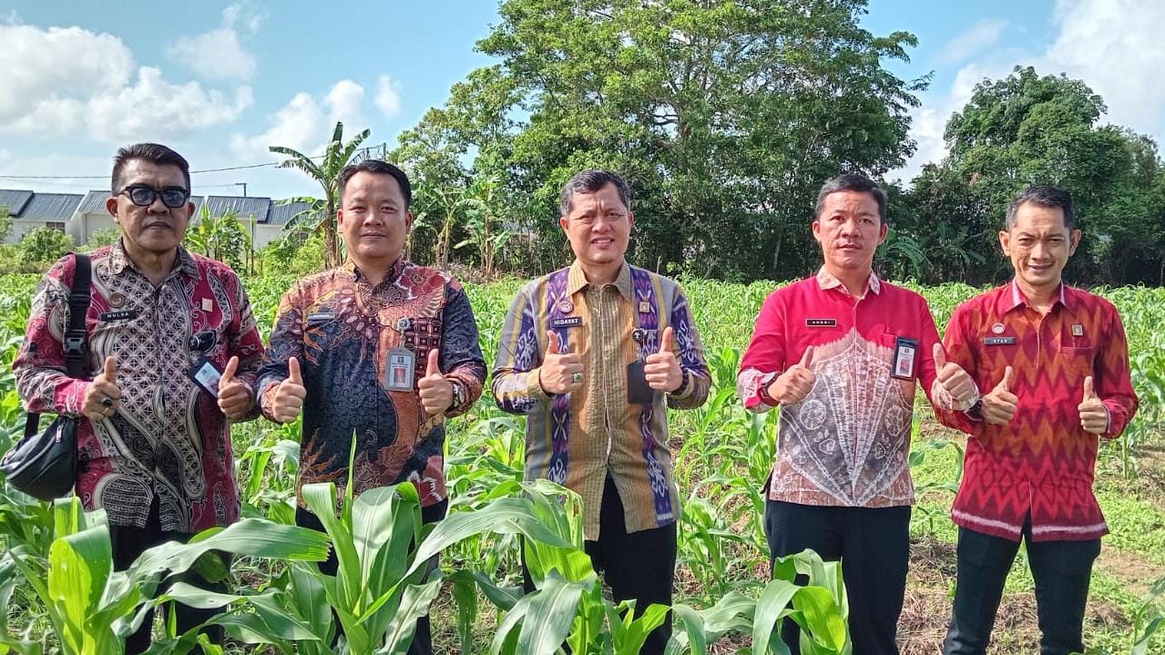 Kalapas Hidayat dan Jajaran Pastikan Ketahanan Pangan di Lapas Pangkalpinang dengan Berkebun Jagung