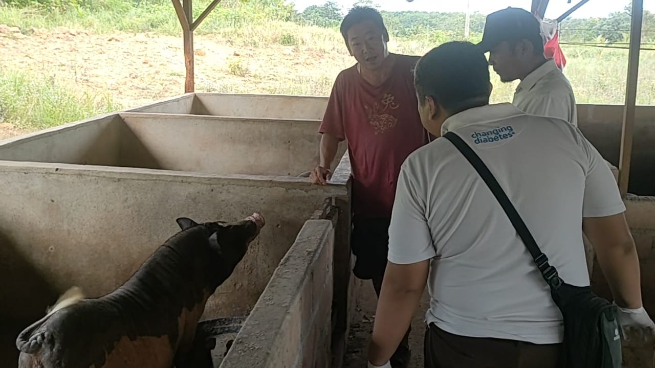 Jelang Imlek Daging Babi Dipastikan Tercukupi di Basel 