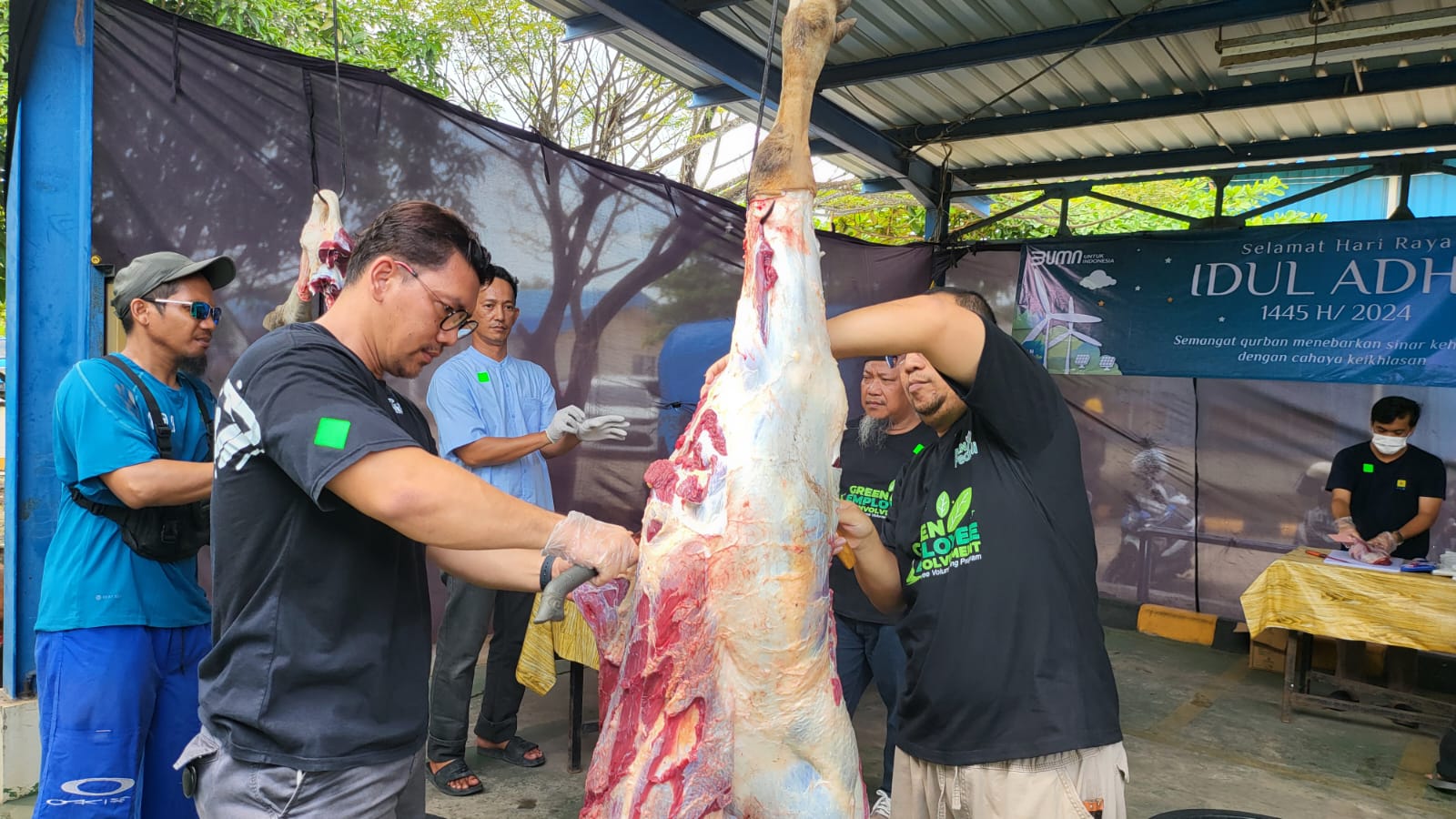 Peringati Idul Adha 1445H, Pegawai PLN Babel Salurkan 1300 Paket Daging Hewan Kurban