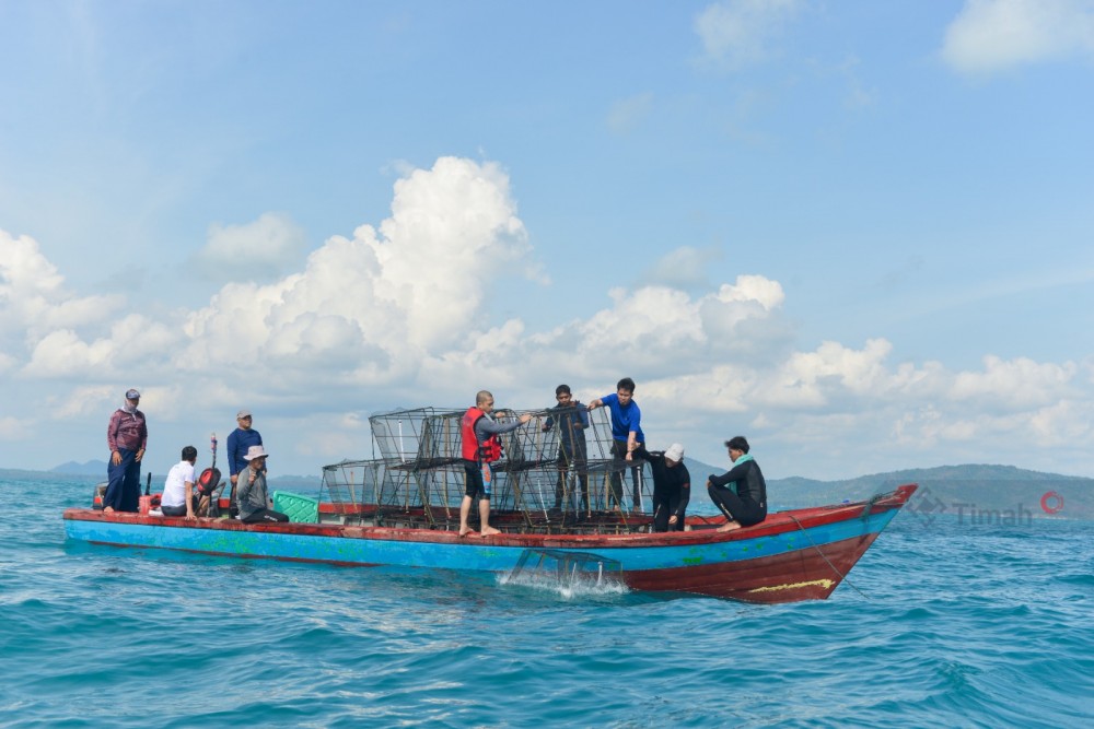 PT Timah Tbk Bersama Kelompok Nelayan Ridho Divine United Tenggelamkan Cumi-cumi Penarik di Laut Rebo