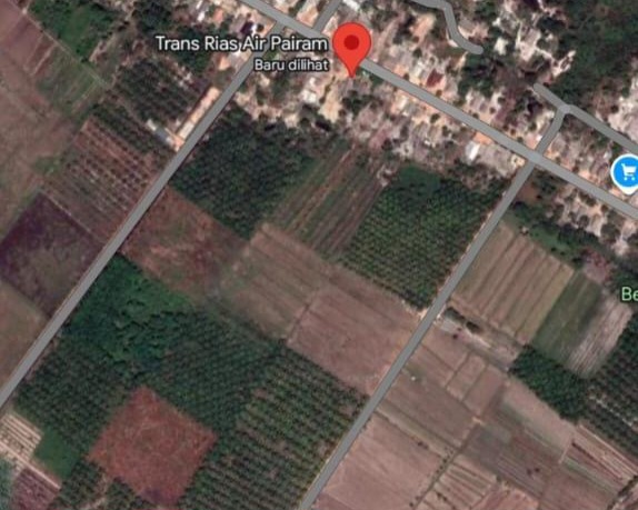 Ada Kebun Sawit di Tengah Sawah Rias, Pengairan Kering, Panen Anjlok