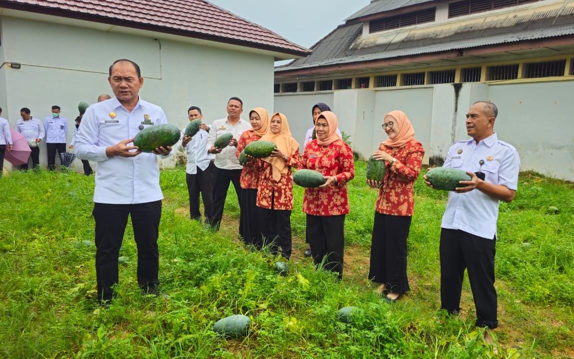 Lapas Pangkalpinang Panen 106 Kg Semangka Inul