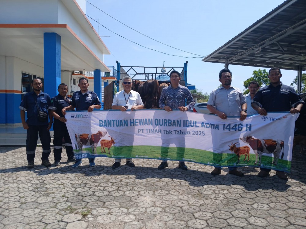 Idul Adha Penuh Makna, PT Timah Bagikan Hewan Kurban untuk Masyarakat Bangka Barat