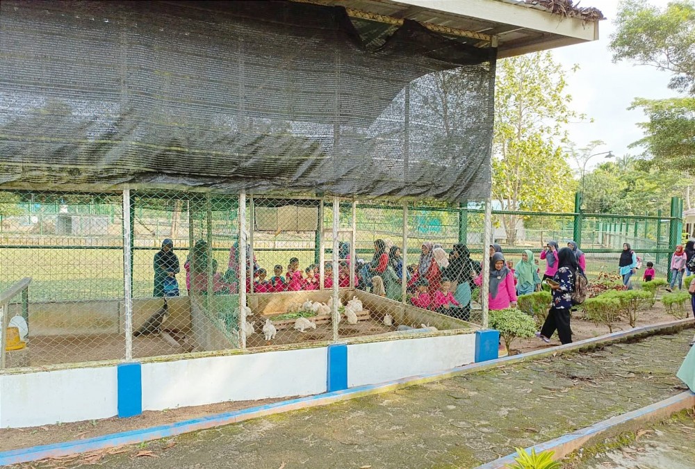 Siswa TK Bina Permata Desa Prayun Bahagia Bisa Belajar dan Melihat Satwa di Taman Kundur PT Timah Tbk
