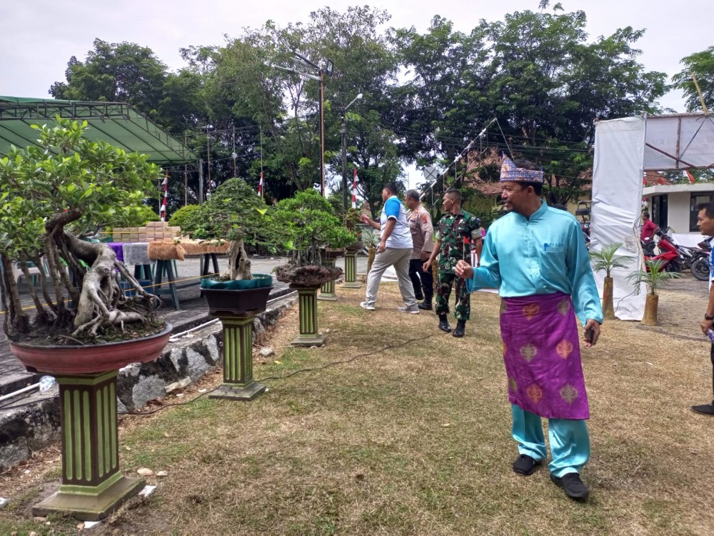 Museum Timah Indonesia Muntok Jadi Lokasi Pameran Bonsai, Warga Bisa Melihat Bonsai Endemik Bangka Barat