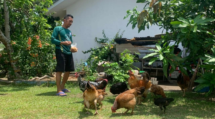 Dukung Program Ketahanan Pangan, Warga Perumahan PT Timah yang Belum Terjamah Manfaatkan Pekarangan