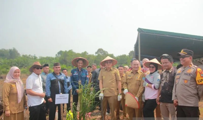 Pemkab Bangka Barat Gandeng Koperasi Remajakan Sawit Rakyat