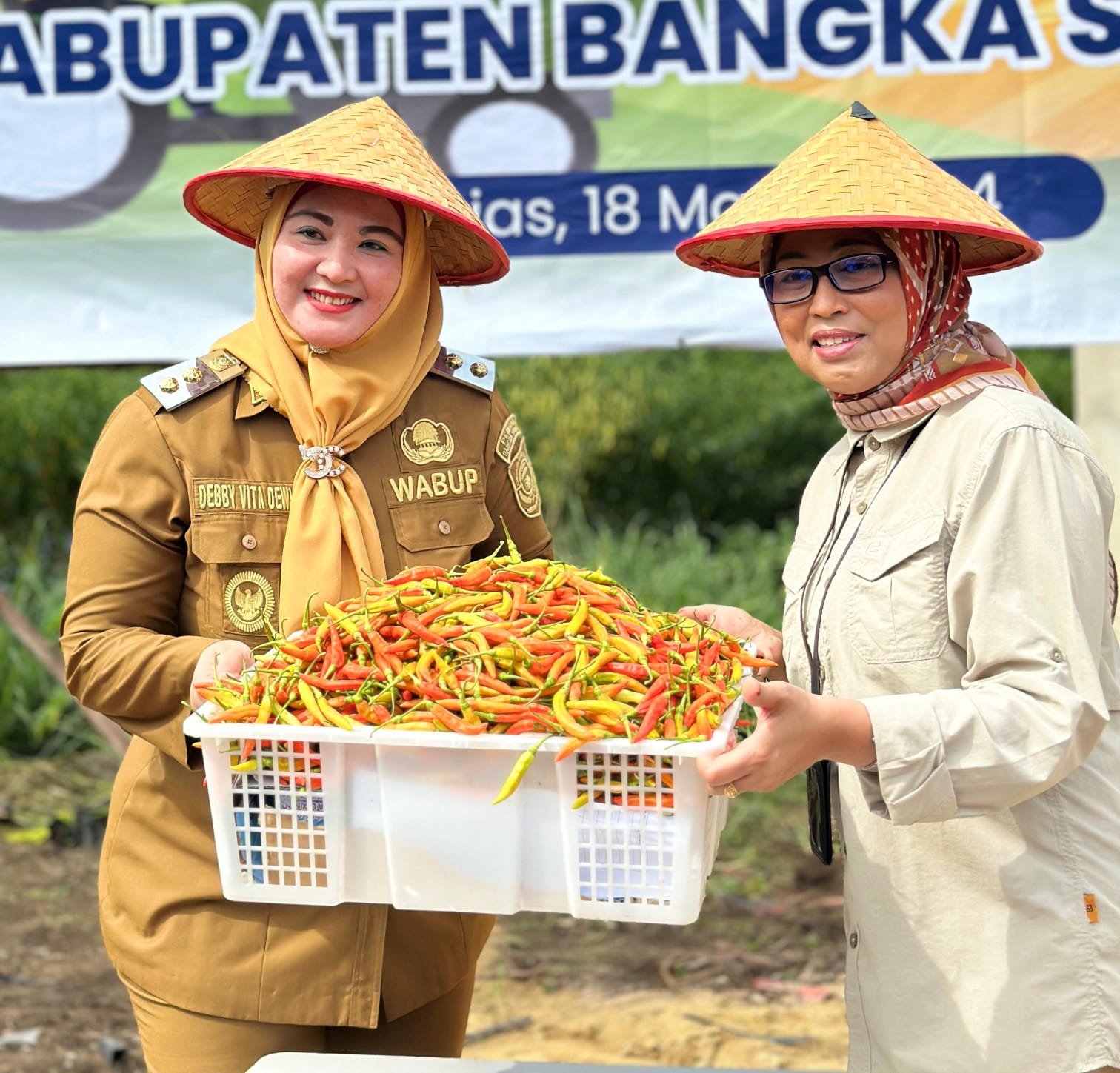 Tekan Inflasi, Pemkab Basel Dapat Kucuran Dana 2,4 Miliar dari Provinsi Untuk Tanam Cabai