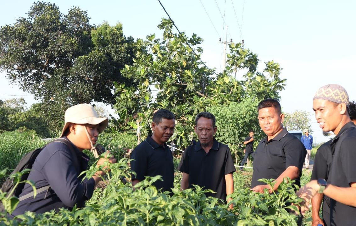 Dukung Program Ketahanan Pangan, Bank Indonesia Tingkatkan Kompetensi Petani se-Bangka Belitung