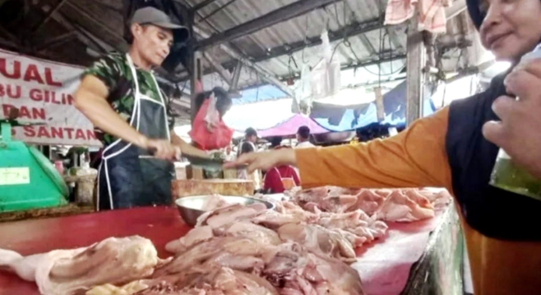 Babel Tambah Stok 80 Ton Turunkan Harga Daging Ayam